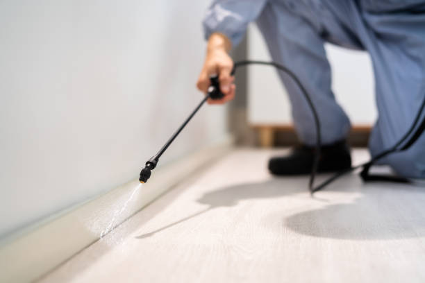 Rodent Entry Point Assessment in Dresser