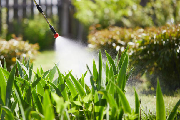 Tamper-Resistant Bait Stations for Rodents in Dresser