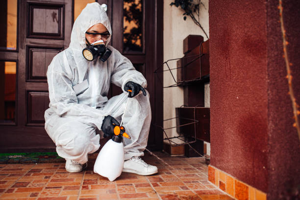 Attic and Crawl Space Rodent Treatment in Dresser